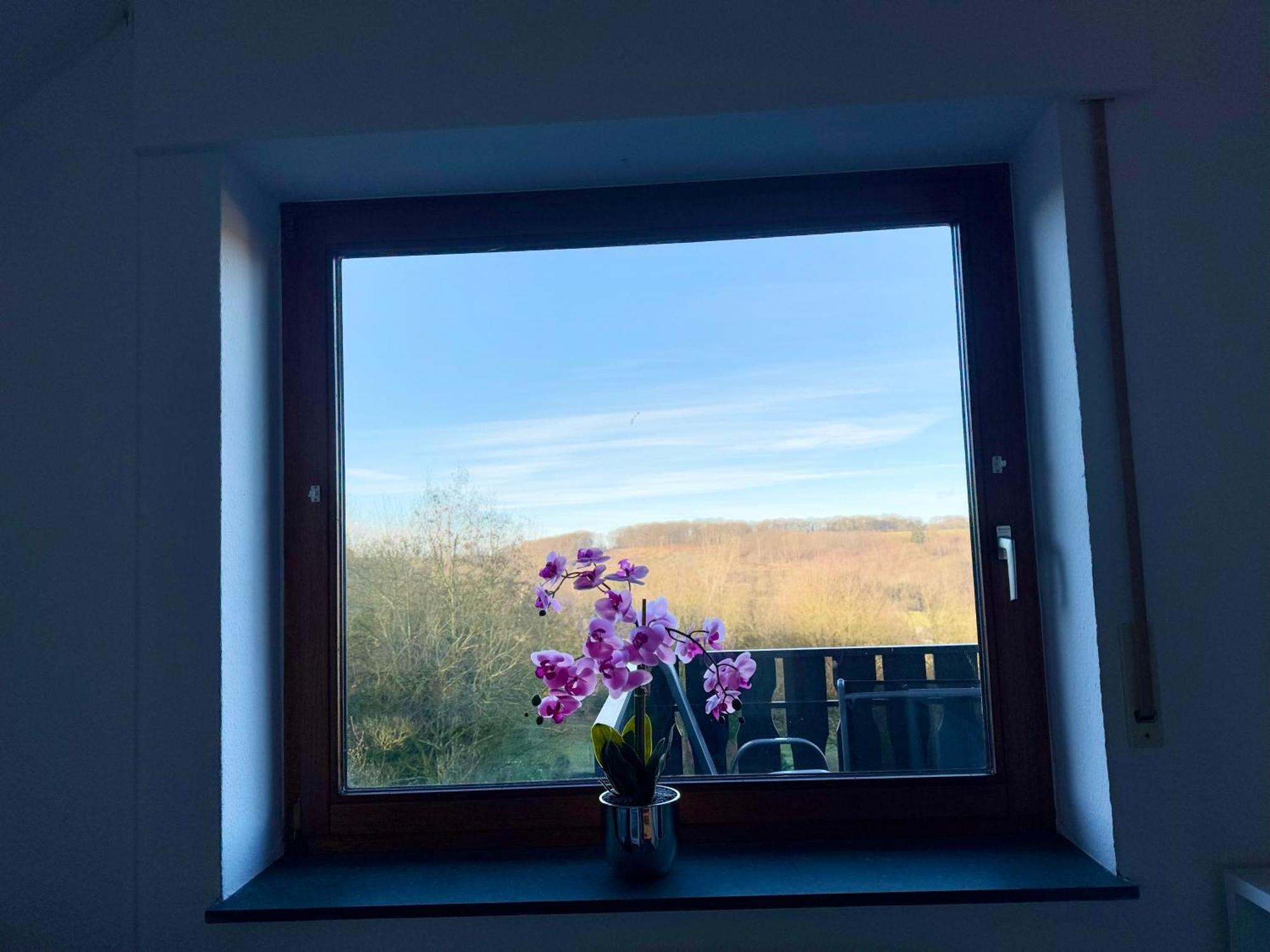 Moehne Ferienwohnung Möhnesee Exteriör bild